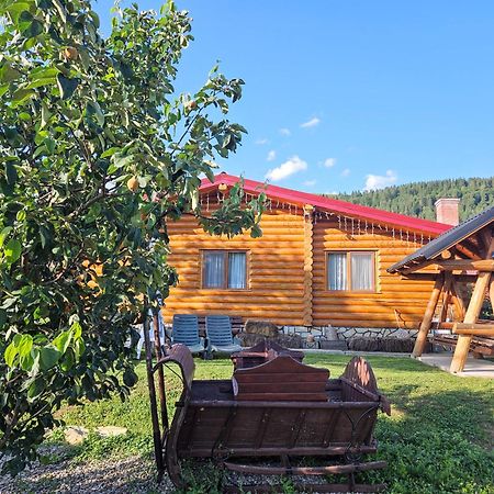 Cabana Alesia, Relaxare La Poalele Raraului Câmpulung Moldovenesc المظهر الخارجي الصورة
